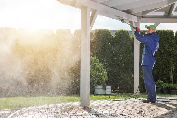 Best Brick and Stone Cleaning in Crisfield, MD